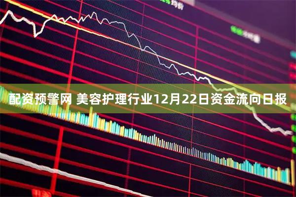 配资预警网 美容护理行业12月22日资金流向日报