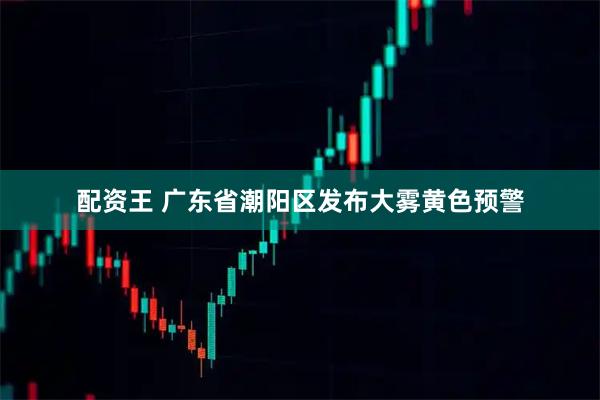 配资王 广东省潮阳区发布大雾黄色预警